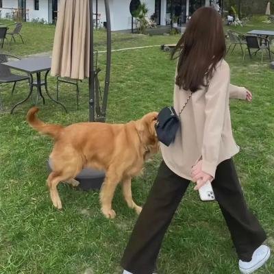 铁骨柔情